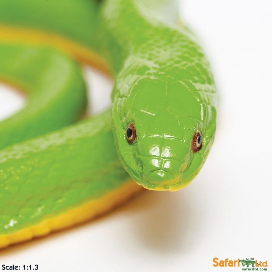 サファリ ラフグリーンスネーク ヘビ フィギュア 1 1 3スケールモデル サファリフィギュア専門店 Navys 通販 Yahoo ショッピング
