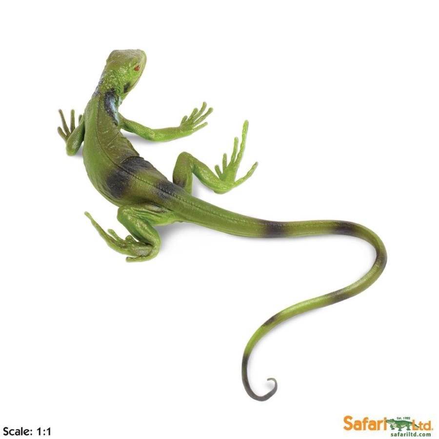 サファリ グリーンイグアナ ベビー Xl 2529 Safari レプリカ 2529 サファリフィギュア専門店 Navys 通販 Yahoo ショッピング