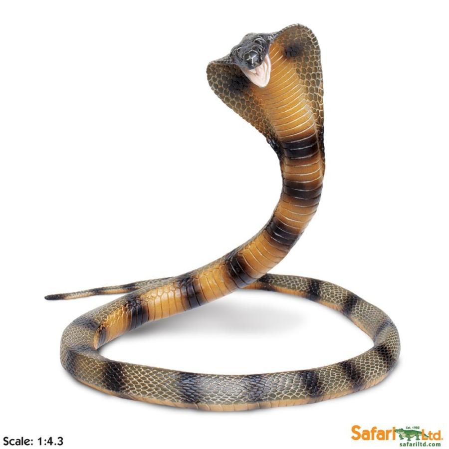 サファリ キングコブラ ヘビ フィギュア Xl サファリフィギュア専門店 Navys 通販 Yahoo ショッピング