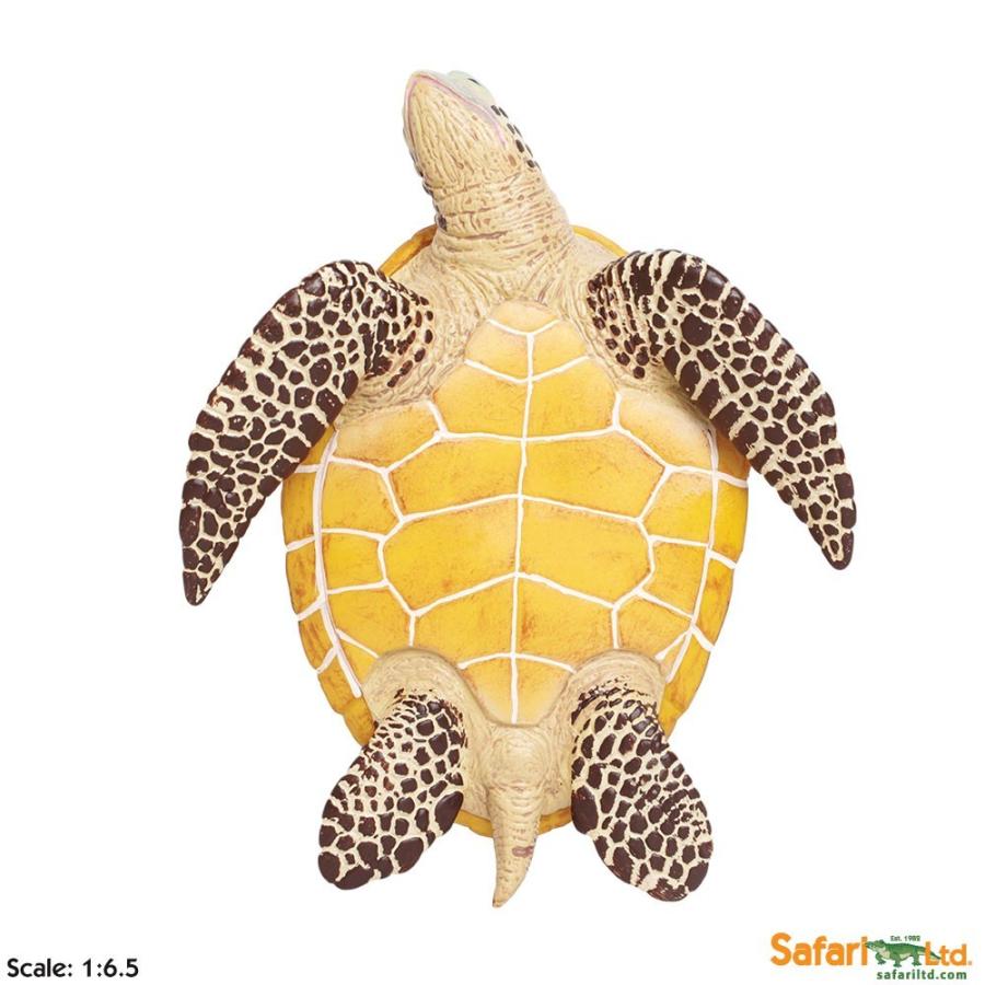 サファリ フィギュア ウミガメ Xl 260429 カメ 亀 レプリカ 260429