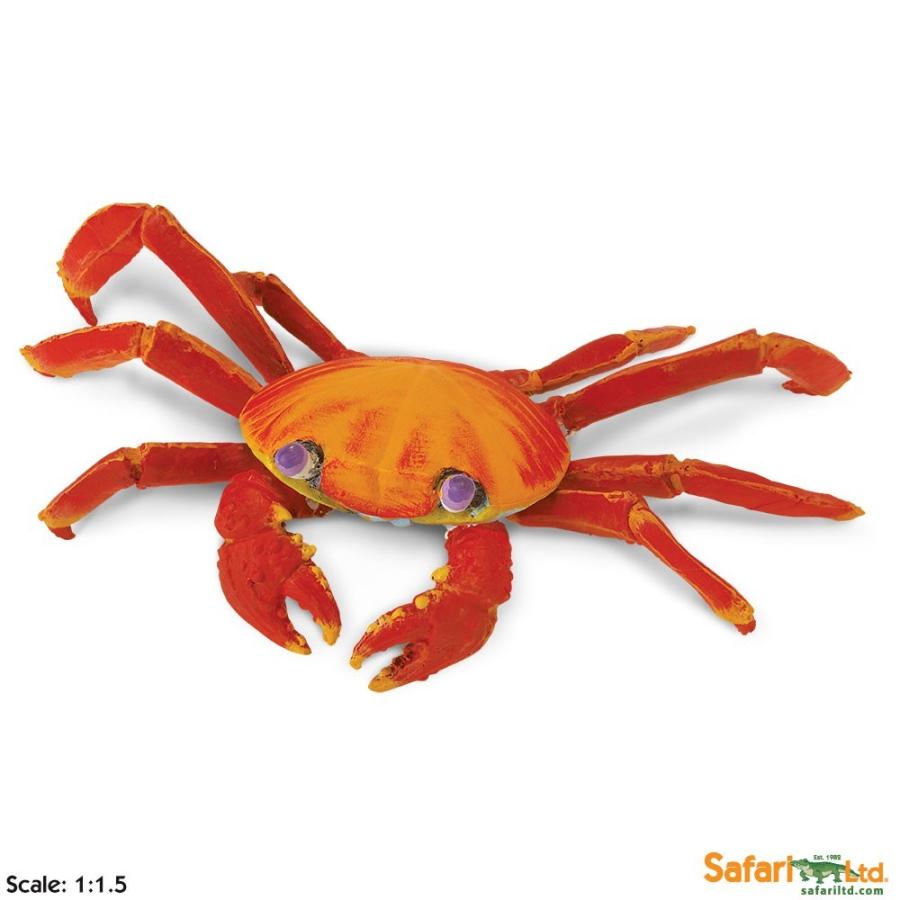再入荷 予約販売 カニ ハサミ 2フィギュア Atak Com Br