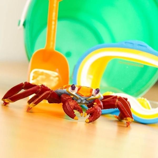 サファリ ガラパゴスベニイワガニ カニ フィギュア 1 1 5スケールモデル サファリフィギュア専門店 Navys 通販 Yahoo ショッピング