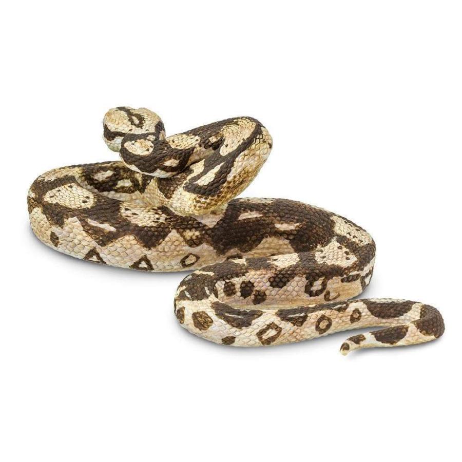 サファリ ボアコンストリクター ヘビ フィギュア 1 4スケールモデル サファリフィギュア専門店 Navys 通販 Yahoo ショッピング
