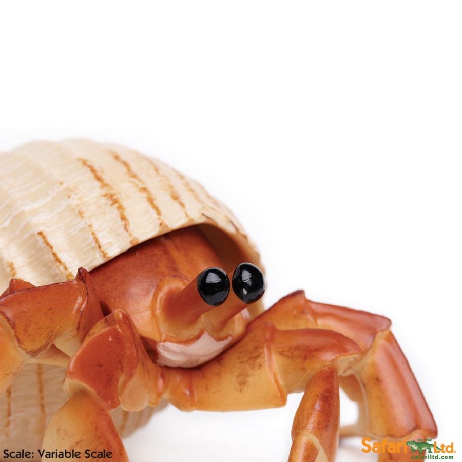 サファリ ヤドカリ フィギュア Xlサイズ サファリフィギュア専門店 Navys 通販 Yahoo ショッピング