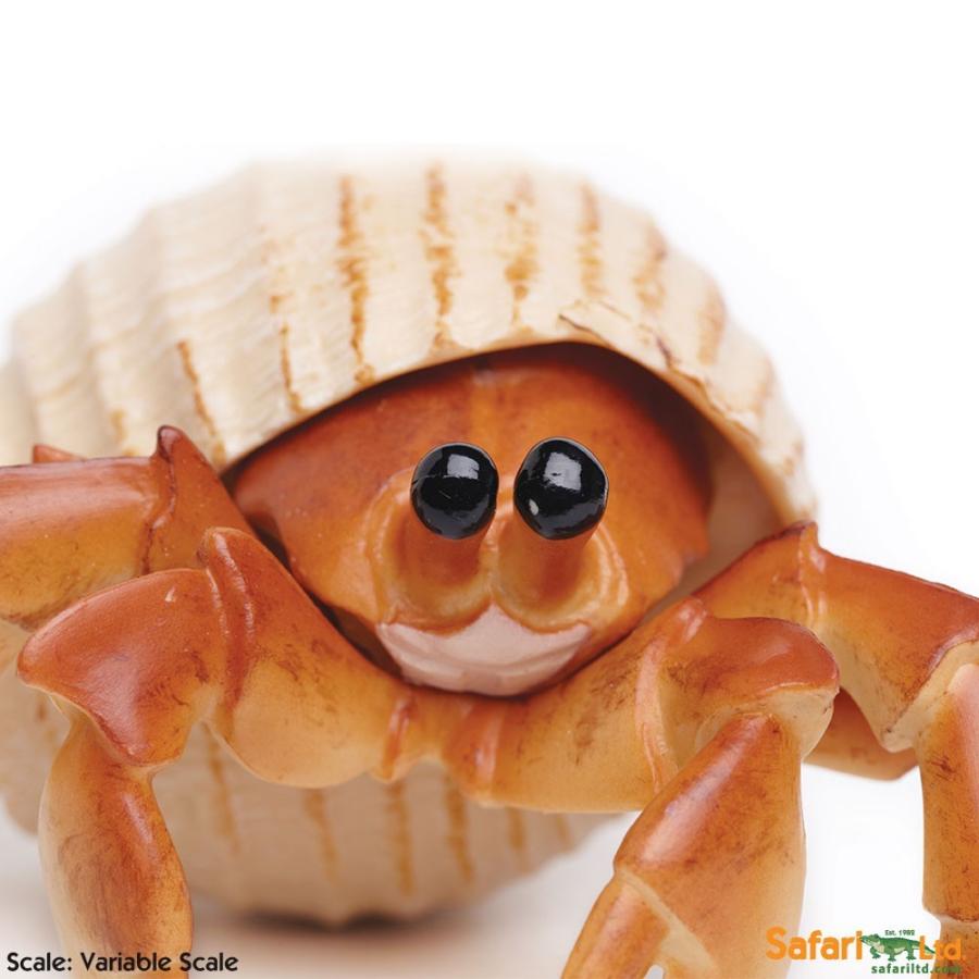 サファリ ヤドカリ フィギュア Xlサイズ サファリフィギュア専門店 Navys 通販 Yahoo ショッピング