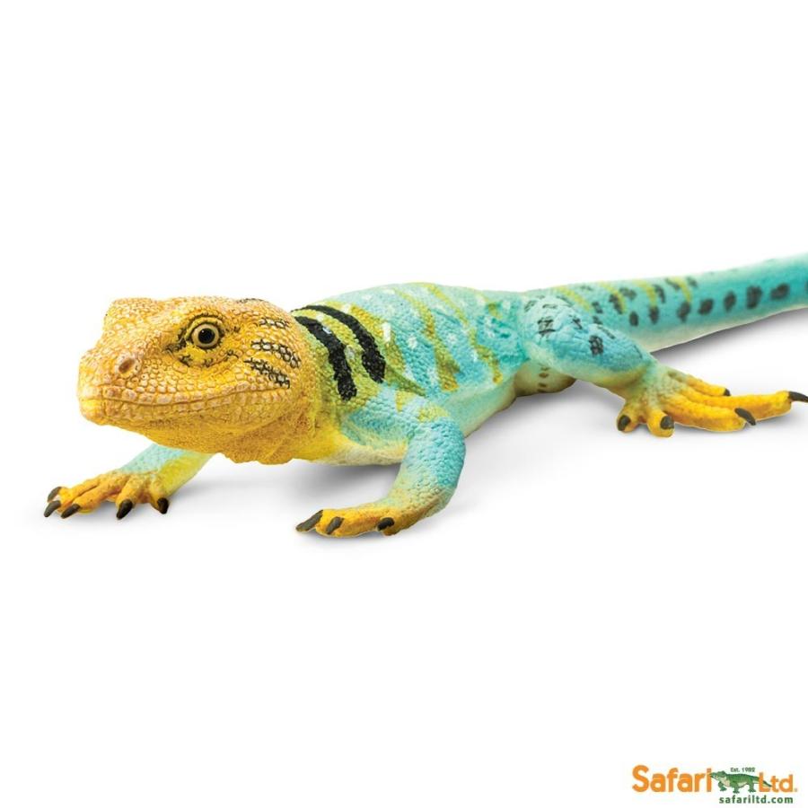 サファリ クビワトカゲ リザード フィギュア 1 1 スケールモデル サファリフィギュア専門店 Navys 通販 Yahoo ショッピング