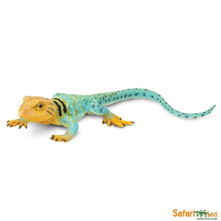 サファリ クビワトカゲ リザード フィギュア 1 1 スケールモデル サファリフィギュア専門店 Navys 通販 Yahoo ショッピング