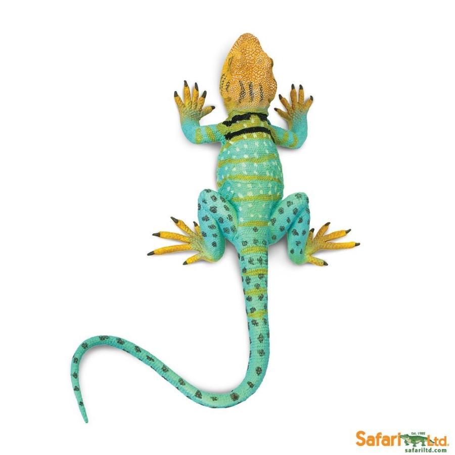 サファリ クビワトカゲ リザード フィギュア 1 1 スケールモデル サファリフィギュア専門店 Navys 通販 Yahoo ショッピング