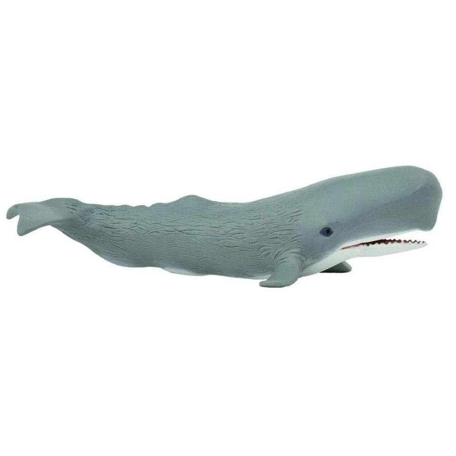 サファリ マッコウクジラ 鯨 フィギュア サファリフィギュア専門店 Navys 通販 Yahoo ショッピング