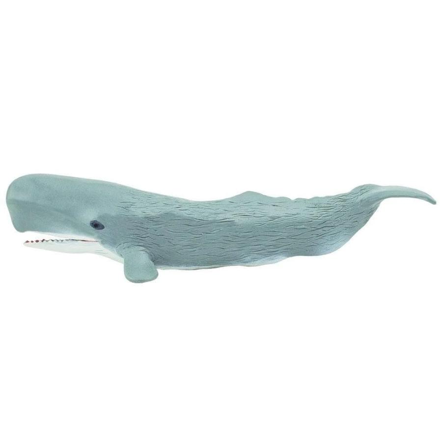 サファリ マッコウクジラ 鯨 フィギュア サファリフィギュア専門店 Navys 通販 Yahoo ショッピング