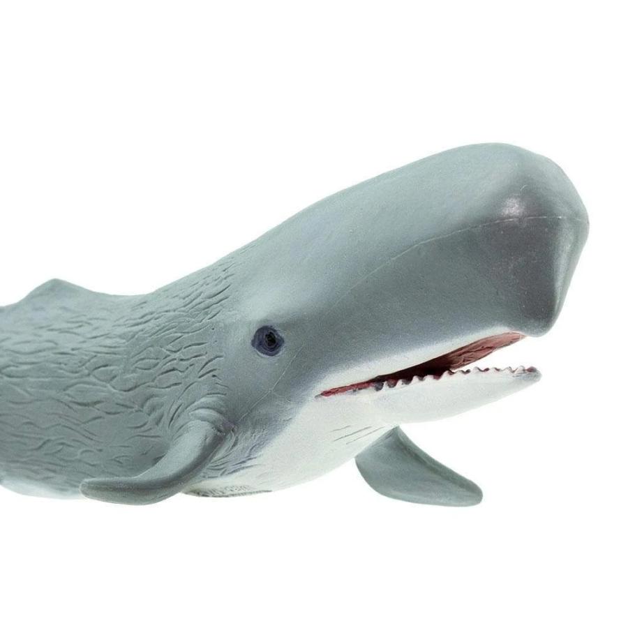 サファリ マッコウクジラ 鯨 フィギュア サファリフィギュア専門店 Navys 通販 Yahoo ショッピング