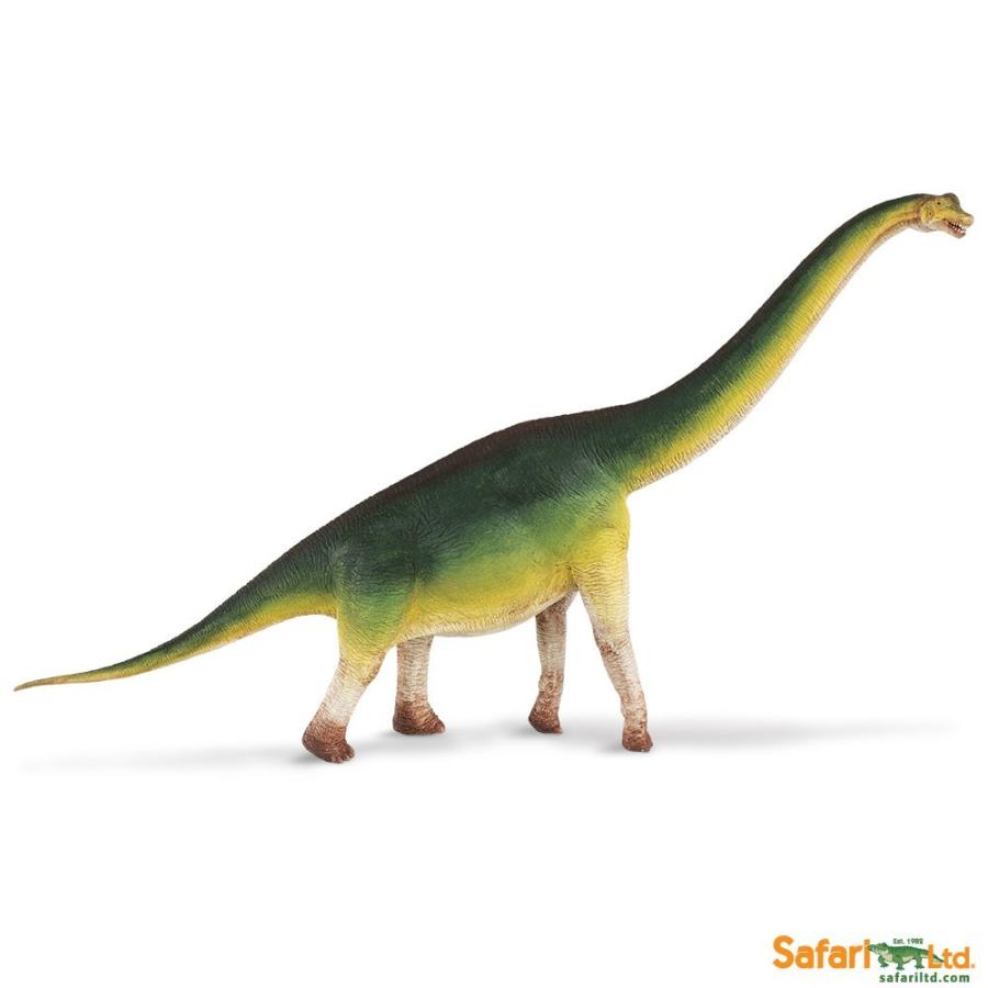 サファリ フィギュア ブラキオサウルス 恐竜 レプリカ サファリフィギュア専門店 Navys 通販 Yahoo ショッピング