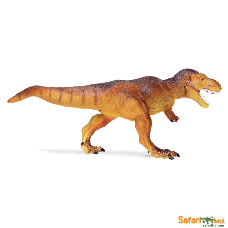 サファリ ティラノサウルス T-rexII フィギュア 300729 : サファリ