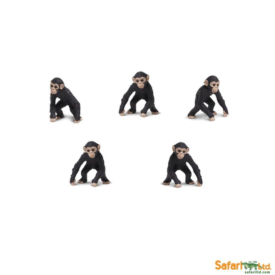 サファリ ミニ フィギュア チンパンジー 12個セット 動物 サル レプリカ サファリフィギュア専門店 Navys 通販 Yahoo ショッピング