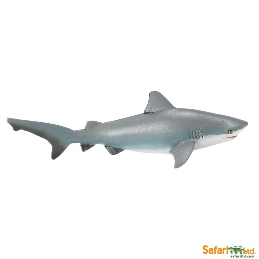 サファリ フィギュア オオメジロザメ サメ サファリフィギュア専門店 Navys 通販 Yahoo ショッピング