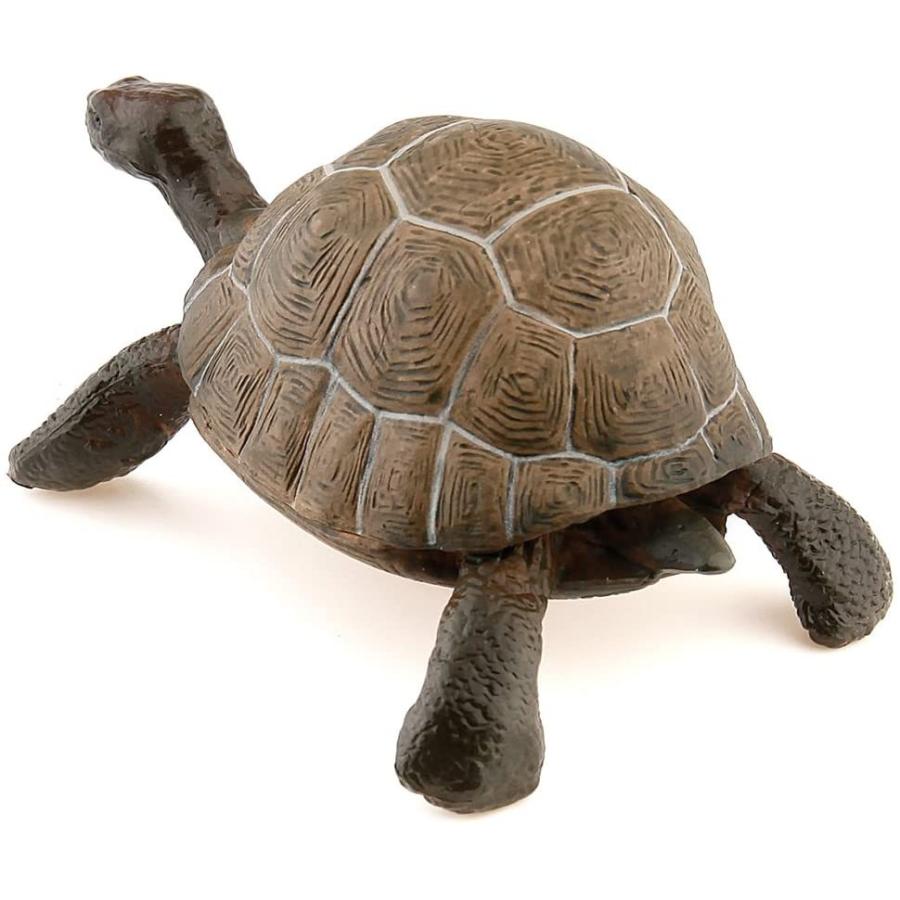 66 以上節約 パポ Papo リクガメ カメ フィギュア Wantannas Go Id