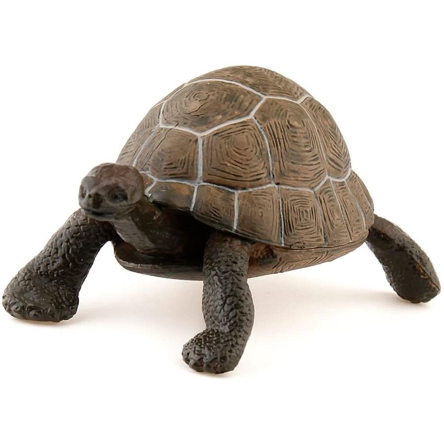 66 以上節約 パポ Papo リクガメ カメ フィギュア Wantannas Go Id