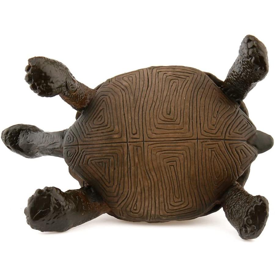 66 以上節約 パポ Papo リクガメ カメ フィギュア Wantannas Go Id