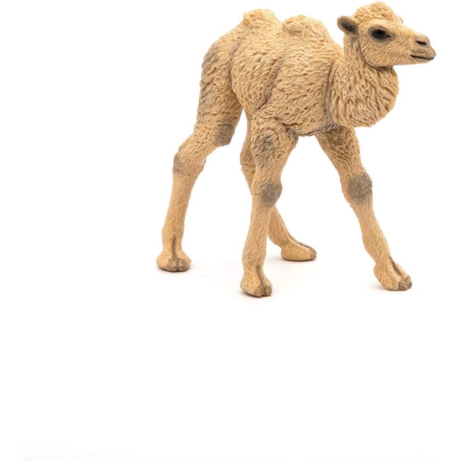 パポ Papo フタコブラクダの赤ちゃん ラクダ フィギュア サファリフィギュア専門店 Navys 通販 Yahoo ショッピング