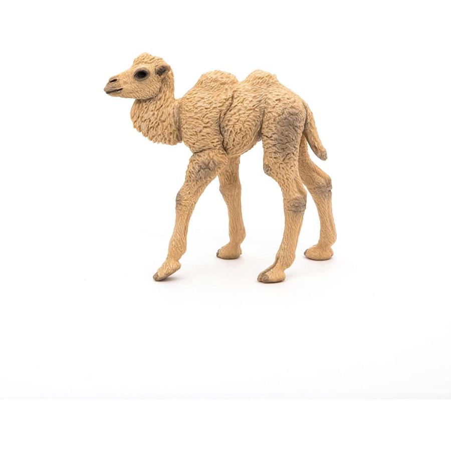 パポ Papo フタコブラクダの赤ちゃん ラクダ フィギュア サファリフィギュア専門店 Navys 通販 Yahoo ショッピング