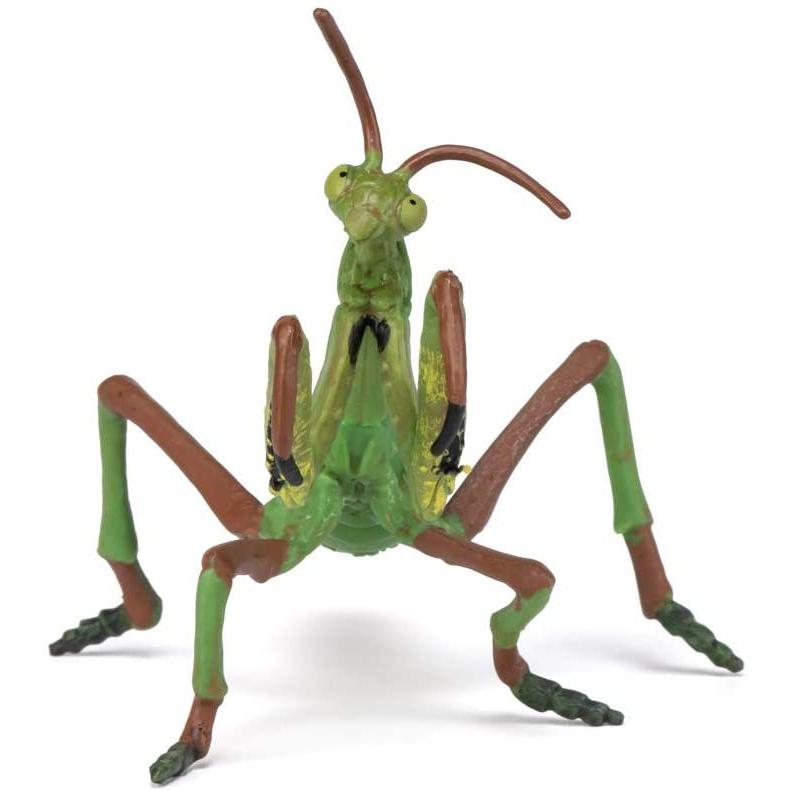 パポ Papo カマキリ 昆虫 フィギュア サファリフィギュア専門店 Navys 通販 Yahoo ショッピング