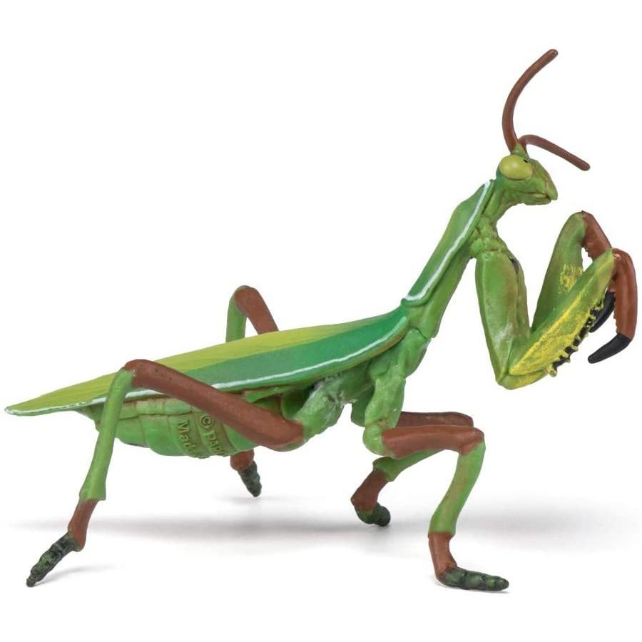 パポ Papo カマキリ 昆虫 フィギュア サファリフィギュア専門店 Navys 通販 Yahoo ショッピング