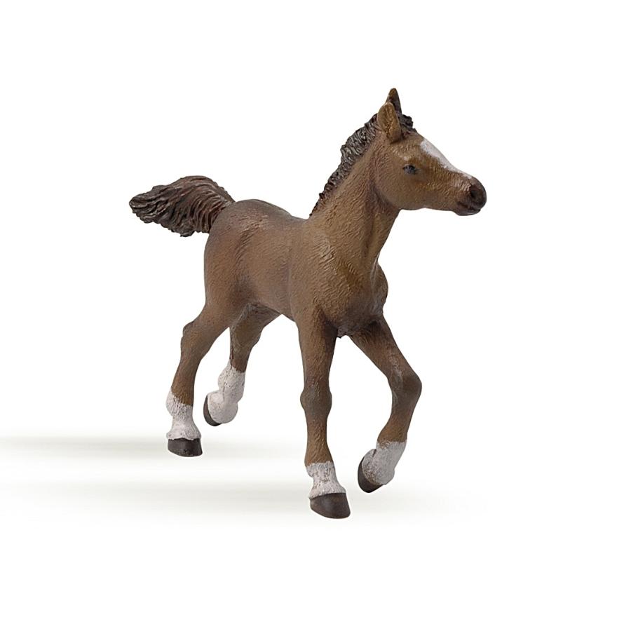 パポ Papo アングロアラブ 仔馬 フィギュア サファリフィギュア専門店 Navys 通販 Yahoo ショッピング