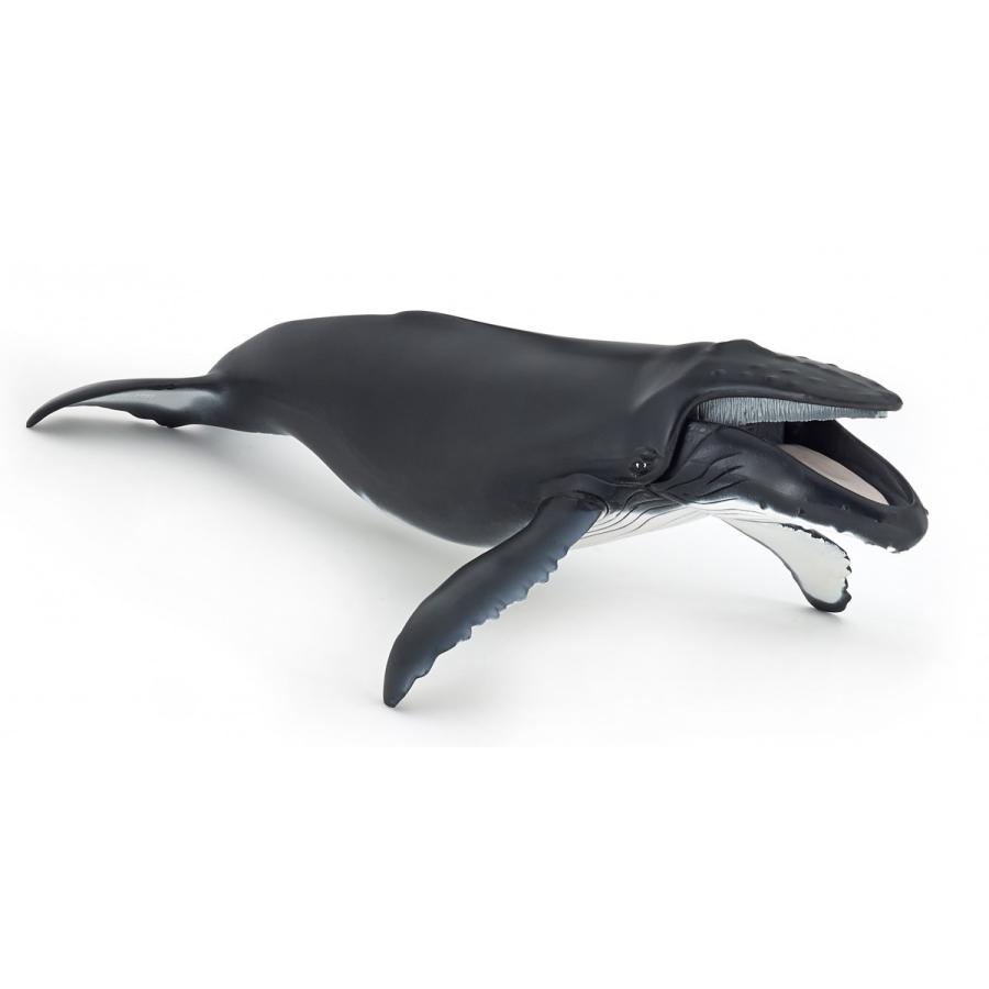 パポ Papo ザトウクジラ フィギュア サファリフィギュア専門店 Navys 通販 Yahoo ショッピング