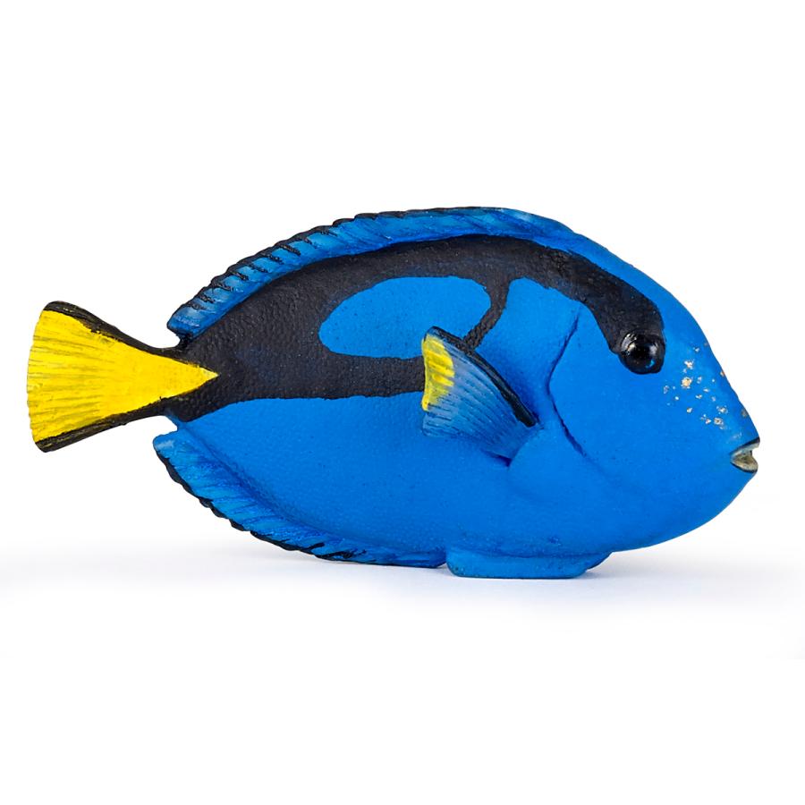 パポ Papo ナンヨウハギ 魚 フィギュア サファリフィギュア専門店 Navys 通販 Yahoo ショッピング