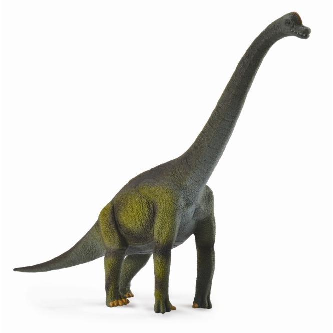 コレクタ 恐竜 フィギュア ブラキオサウルス 88121 COLLECTA