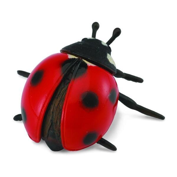 コレクタ テントウムシ 昆虫 フィギュア 474 474 サファリフィギュア専門店 Navys 通販 Yahoo ショッピング