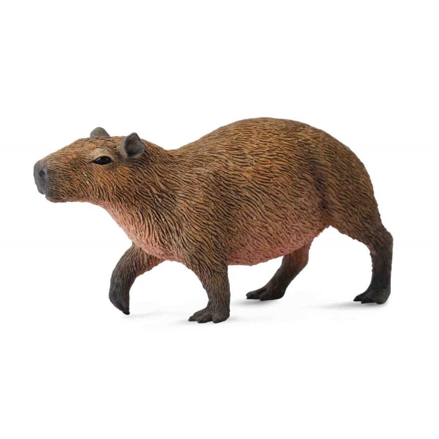 コレクタ カピバラ 動物 フィギュア 540 540 サファリフィギュア専門店 Navys 通販 Yahoo ショッピング
