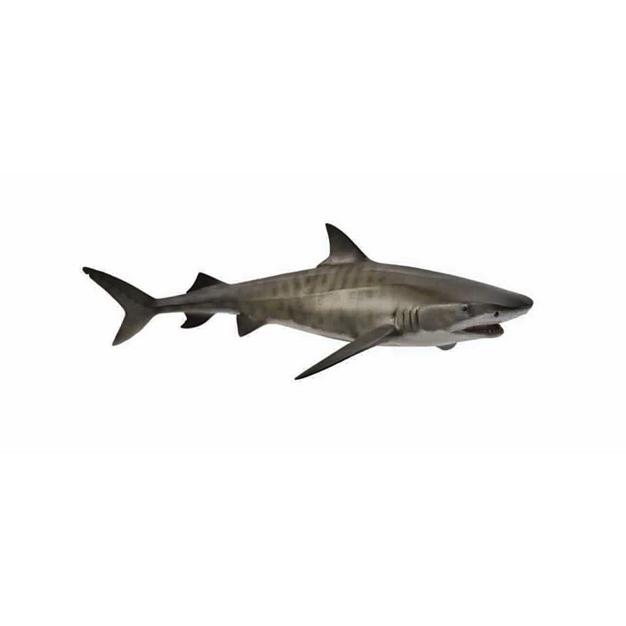 コレクタ イタチザメ タイガーシャーク サメ フィギュア 661 661 サファリフィギュア専門店 Navys 通販 Yahoo ショッピング