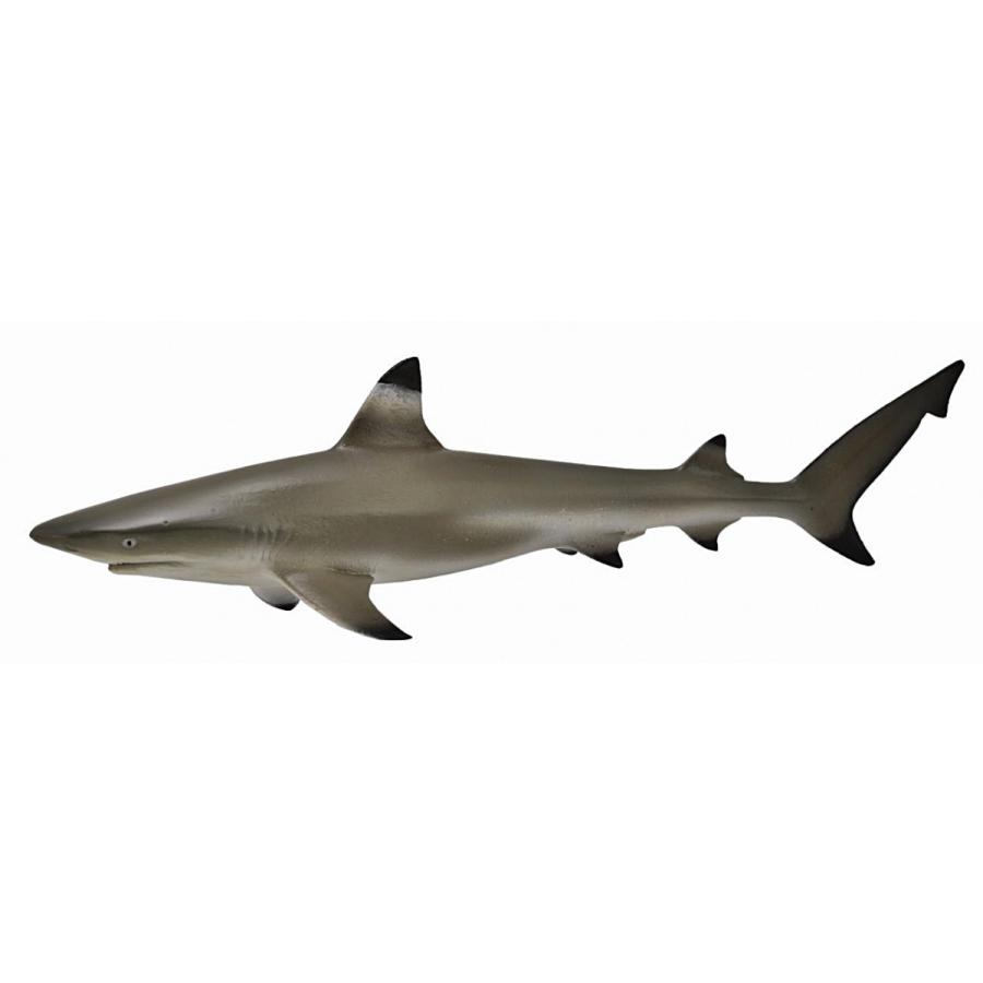 コレクタ ツマグロ サメ フィギュア 726 726 サファリフィギュア専門店 Navys 通販 Yahoo ショッピング
