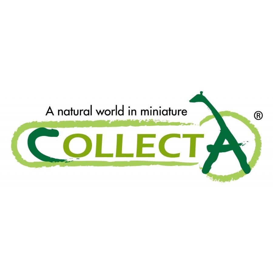 コレクタ ダマガゼル 動物 フィギュア 865 865 サファリフィギュア専門店 Navys 通販 Yahoo ショッピング