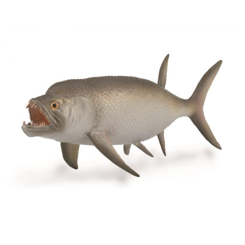 コレクタ シファクティヌス 古代魚 88928 低価格 61％以上節約 フィギュア 1:40スケールモデル