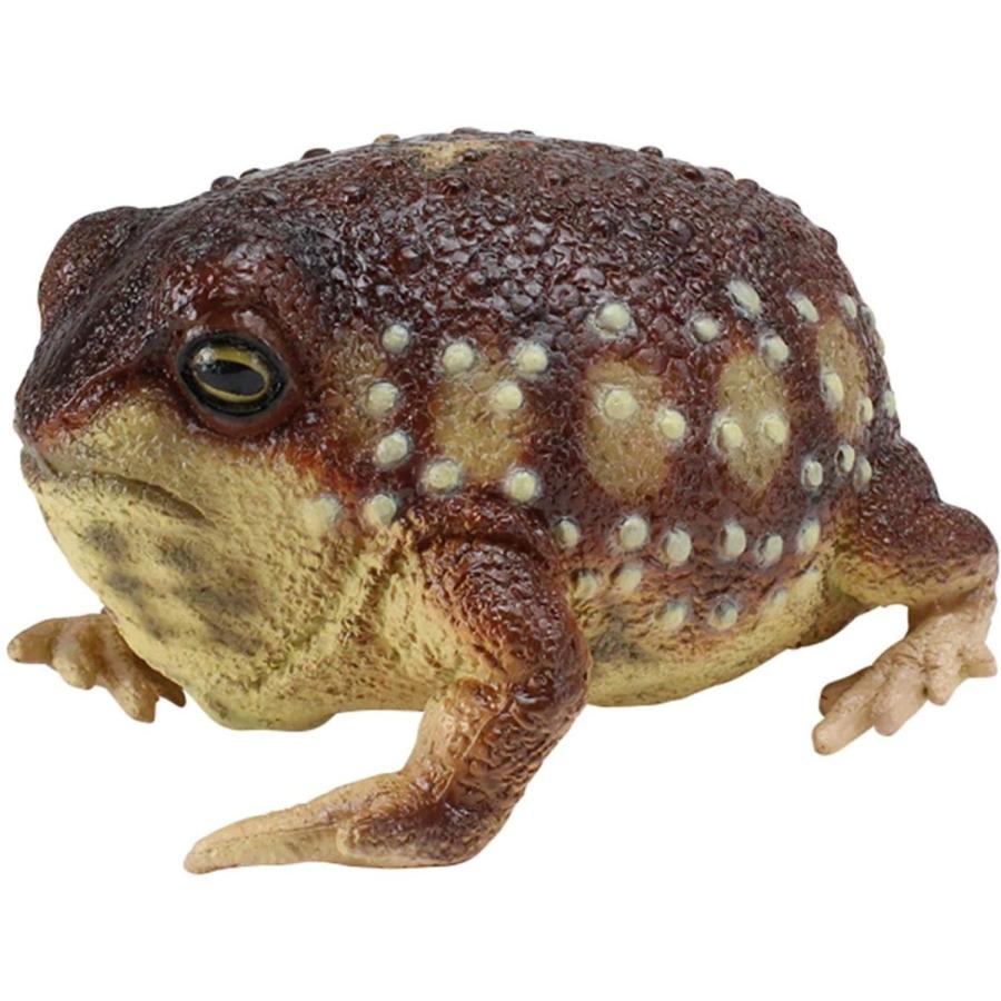 ラテックス アメフクラガエル カエル ぬいぐるみ Ln サファリフィギュア専門店 Navys 通販 Yahoo ショッピング