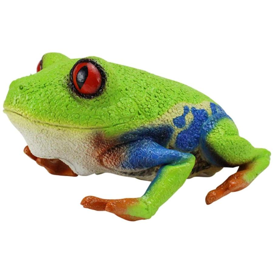 ラテックス アカメアマガエル カエル ぬいぐるみ Ln Ln サファリフィギュア専門店 Navys 通販 Yahoo ショッピング