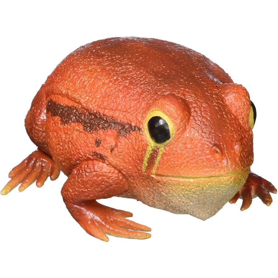 ラテックス サビトマトガエル カエル ぬいぐるみ LN21484 : サファリ