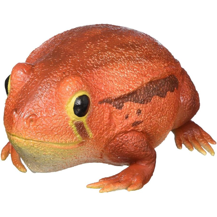ラテックス サビトマトガエル カエル ぬいぐるみ LN21484 : サファリ
