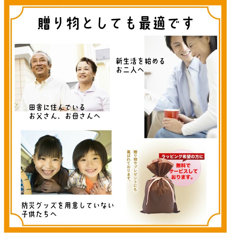 防災セット 防災グッズ 防災 HIHハザードポーチ 中身だけの防災セット　 | HIH | 10