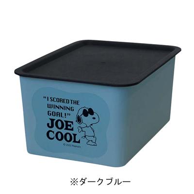 SNOOPY（スヌーピー） NEWコレクトBOX ジョークール Sサイズ 小物入れ