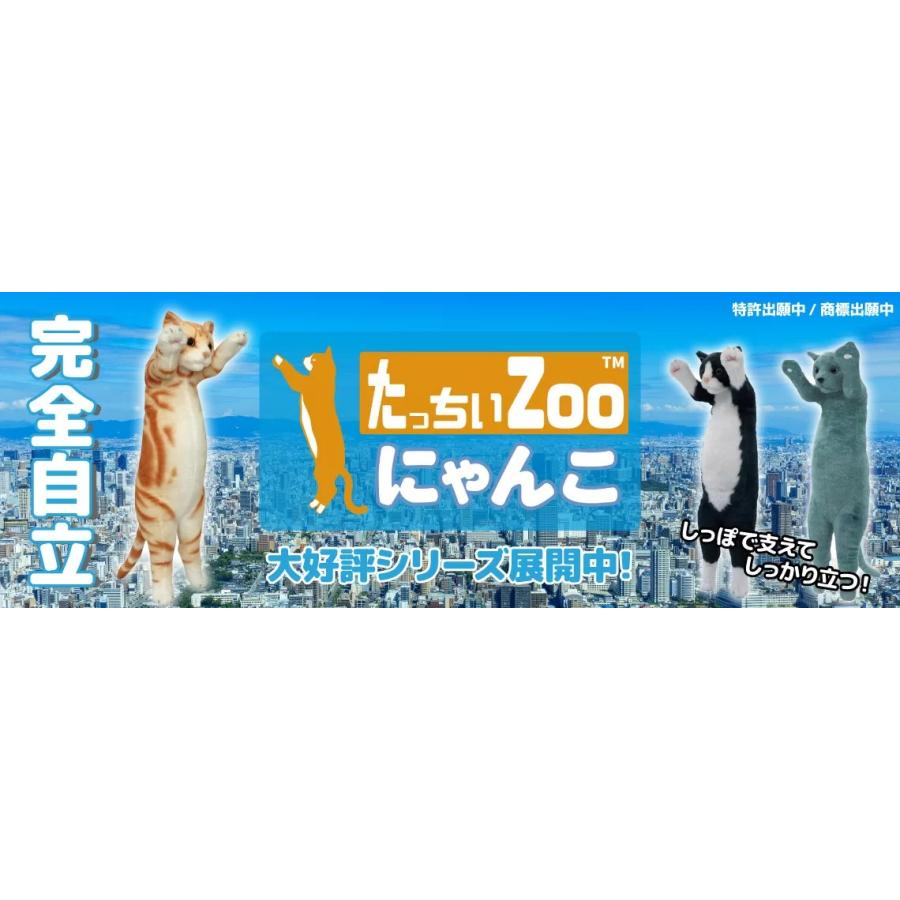 たっちぃZoo にゃんこ 三毛猫 たっちぃZOO ニャンコ みけねこ☆株式