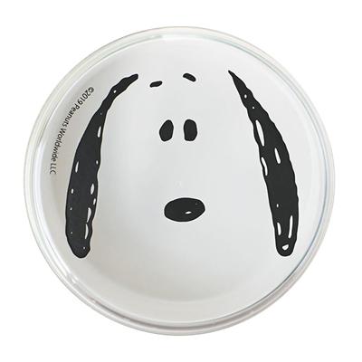 スヌーピー マグネットケース フェイス小物入れ『SUOOPY ウッドストック チャーリーブラウン』定形外OK(日本製 キッチン用品 事務用品 クリップケース お菓子入)|nazca|03