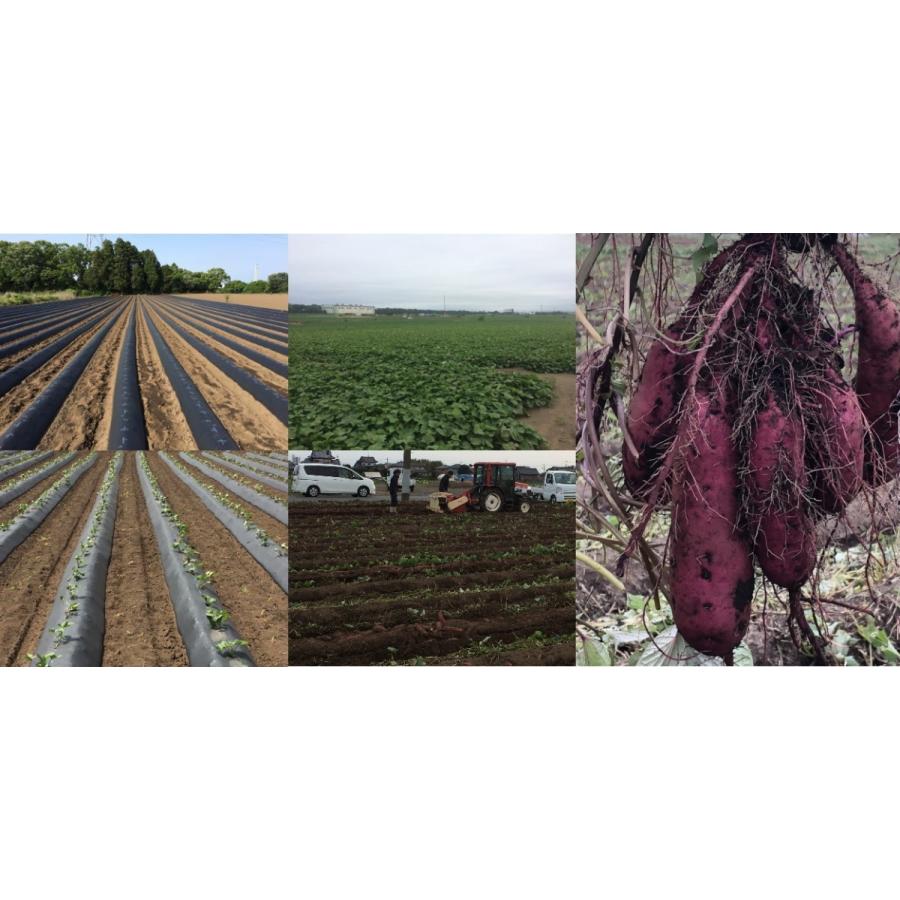 べにはるか 天日干し 2キロ箱 干しいも ほしいも 紅はるか 新いも 当店