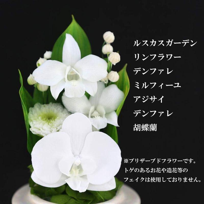 プリザーブドフラワー アートフォーシーズン 仏花 Mini胡蝶蘭