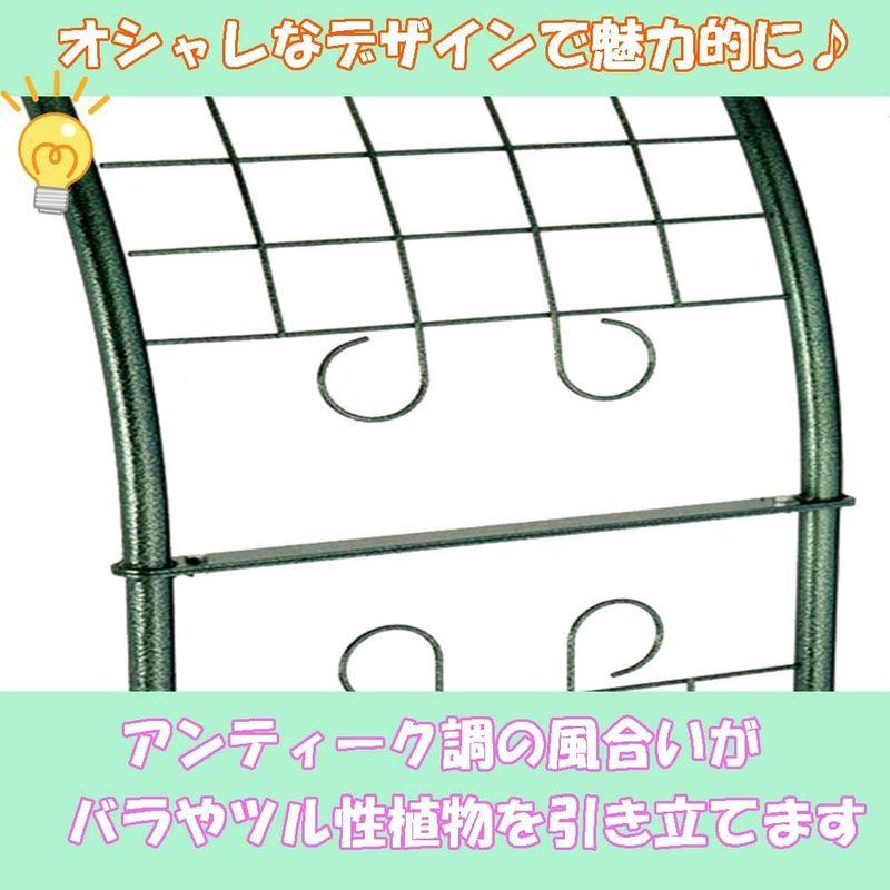 小林金物 グリーンガーデン(Green Garden) フラワーアーチ エクセレント No.212 ブラック グリーンガーデン Green Garden フラワーアーチ エクセレント No ブラック 　小林金物 サイズ