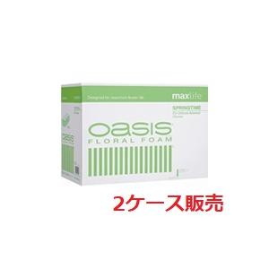特売 2ケース オアシス フローラルフォーム スプリングタイム K 0100 Maxlife 2箱 生花用ブリック マックスライフ 吸水スポンジ 吸水フォーム ブロック 花 代引不可 Zoetalentsolutions Com