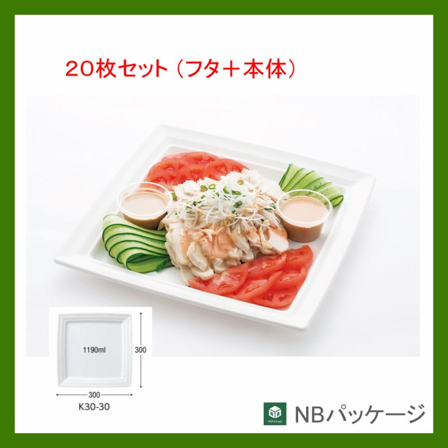 使い捨て容器　角皿　テイクアウト　ＣＴ沙楽Ｋ３０−３０(白)　本体・嵌合蓋セット　２０枚　「中央化学」「業務用」　弁当　すし　オードブル | 中央化学