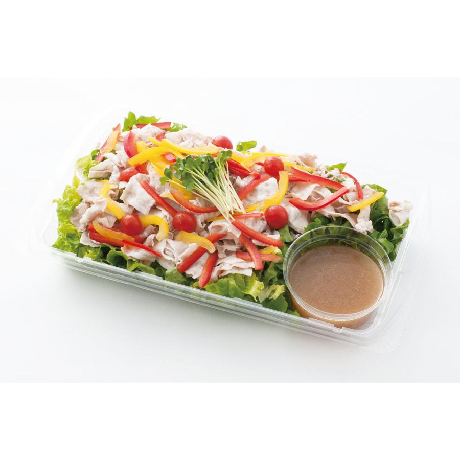 テイクアウト　惣菜容器　使い捨て　アールケース　３０ー２０Ｂ(クリアー)　本体・ＯＣ蓋セット　300枚　リスパック　業務用　メーカー直送　オードブル　透明 | リスパック | 05